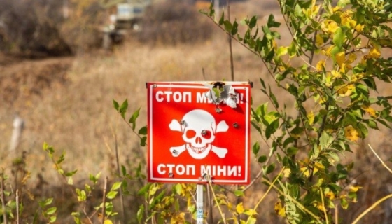Від російських мін в Україні вже майже 300 людей загинуло і понад 660 постраждало, - ДСНС
