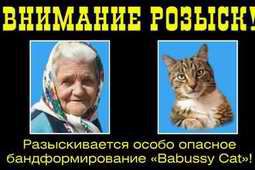 Автор скандального билборда &quot;бабушка с котом&quot; - в розыске, владелец рекламного агентства - в больнице 